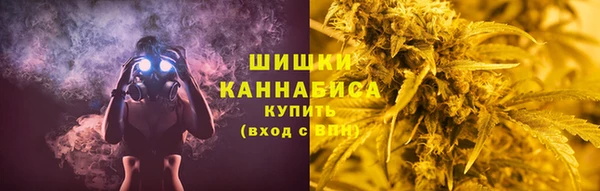 амф Липки
