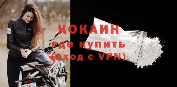 хмурый Магас