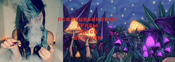 амф Липки