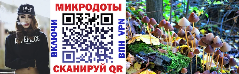 Купить  Заинск  Галлюциногенные грибы Psilocybe 